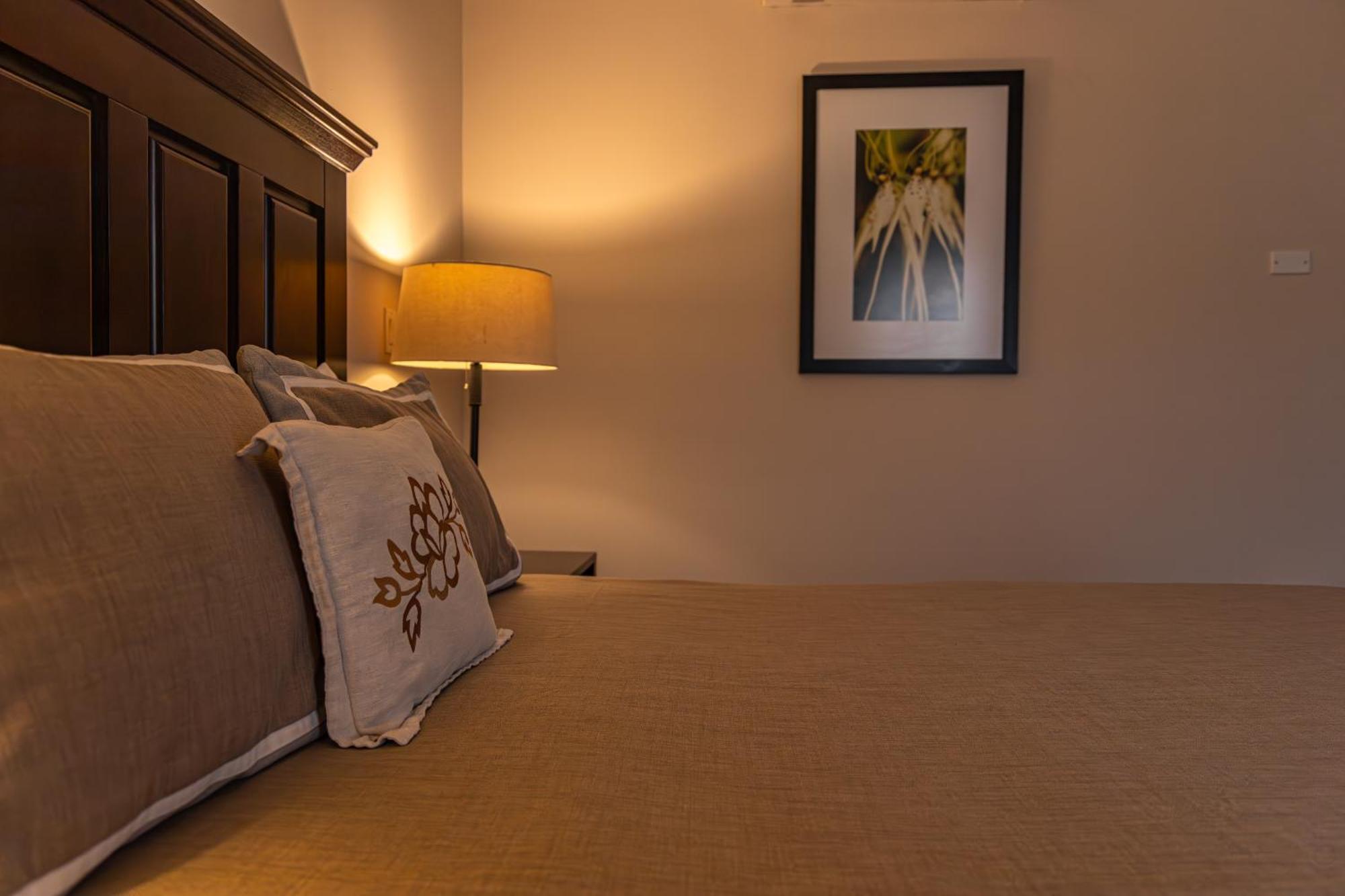 Hotel Cubita Boutique Resort & Spa Чітре Екстер'єр фото